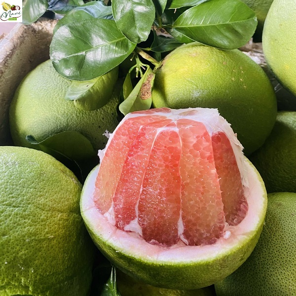 buoi-da-xanh bưởi da xanh ruột đỏ
