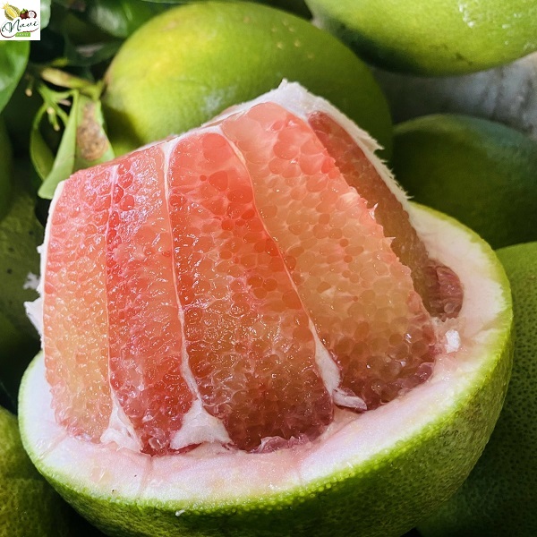 buoi-da-xanh (2) bưởi da xanh ruột đỏ