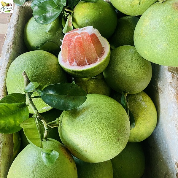 buoi-da-xanh (6) bưởi da xanh ruột đỏ
