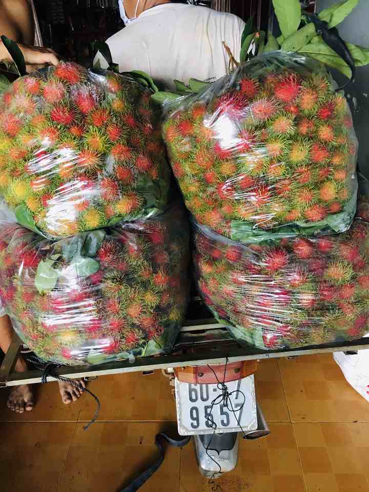 chôm chôm thái