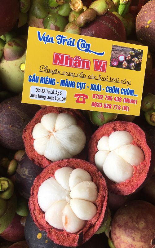 mang-cut măng cụt long khánh