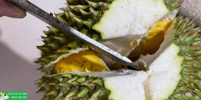 Quả chín khi gõ vào vỏ tạo tiếng kêu "bộp bộp"